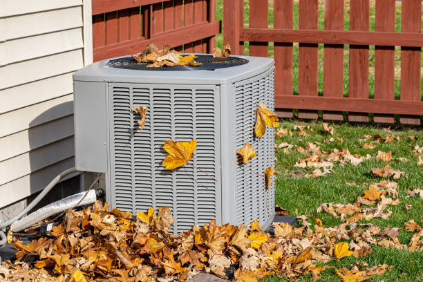 Best HVAC Air Duct Cleaning  in Clive, IA