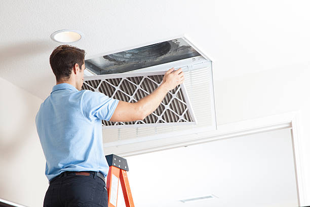Best HVAC Maintenance Near Me  in Clive, IA